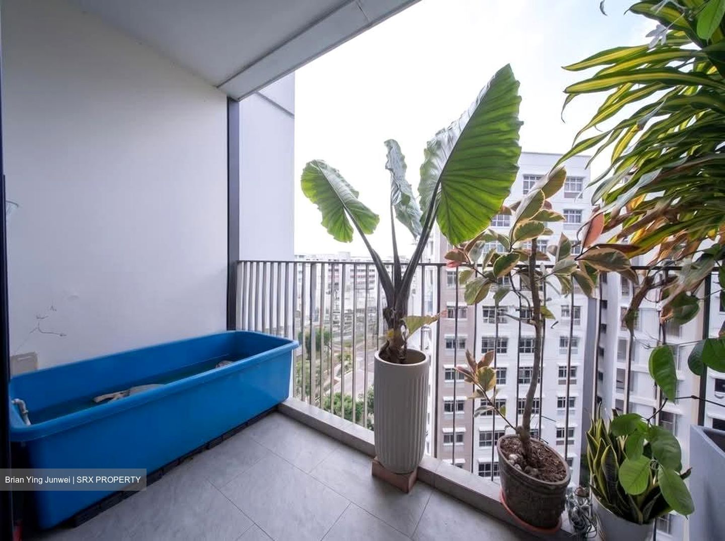 The Wisteria (D27), Apartment #601603631